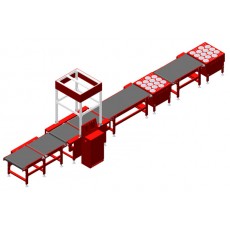 自動(dòng)稱(chēng)重分揀機(jī)